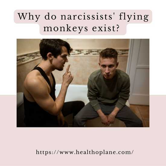 why do narcissists' flying monkeys exist?